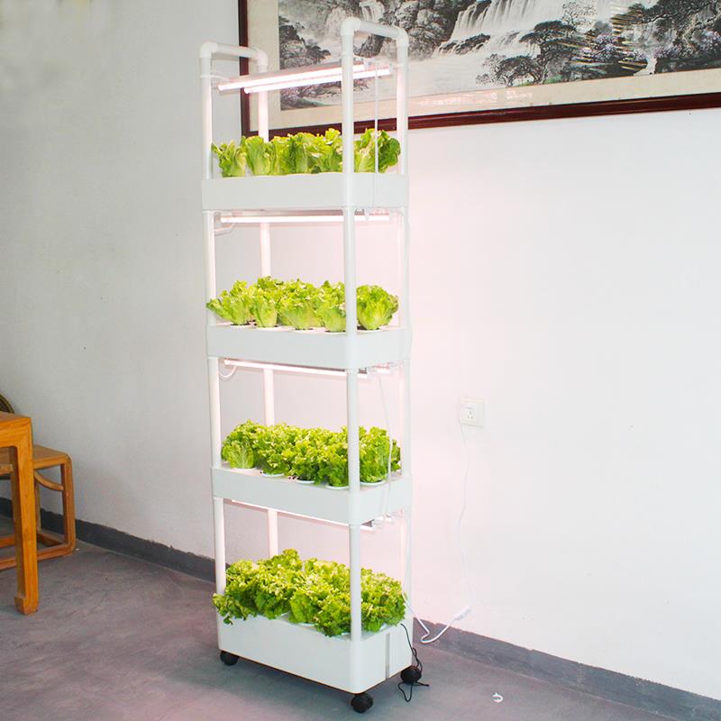 阳台种菜有机蔬菜种植箱无土栽培设备水培蔬菜家庭室内种