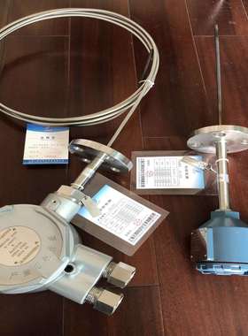 工业轴承热电阻S型热电偶ExdIICT4