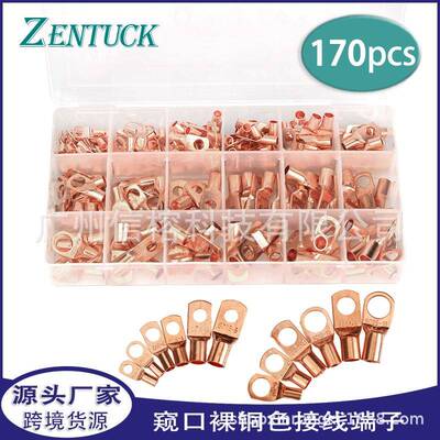 SC窥口裸端子170pcs盒装环形接线片蓄电池接线端子SC端子套装
