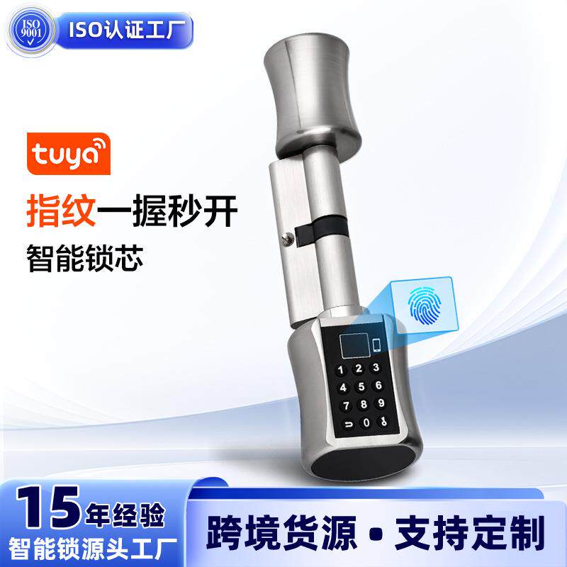 热销智能APP锁芯多种开锁方式通用指纹密码锁