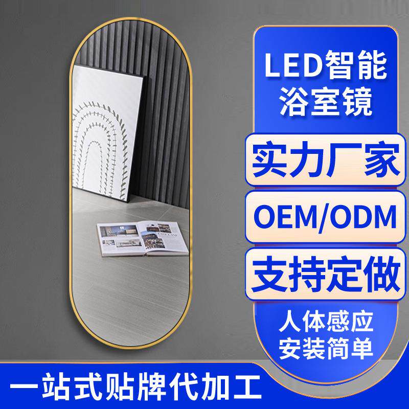 简约时尚铝合金穿衣镜呈像清晰家用卧室衣帽间三色挂墙穿衣镜子