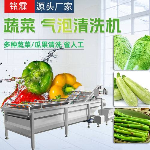 全自动白菜果蔬清洗机喷淋式西葫芦清洗流水线工业流水线清洗