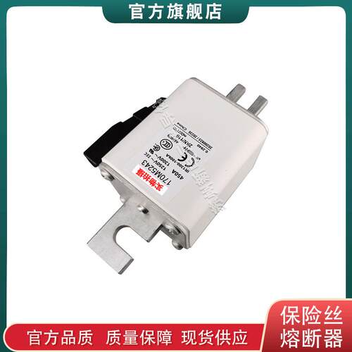 170M52375257528052815282528352845289巴斯曼快速熔断器