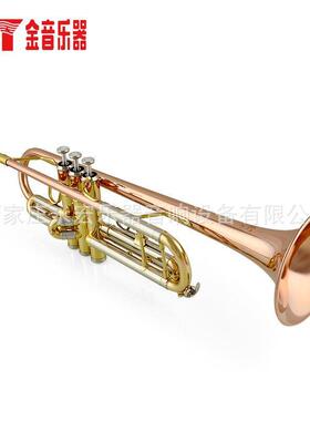 金音JYTR-M300高档三色小号乐器活塞磷铜喇叭口降B高档小号M300