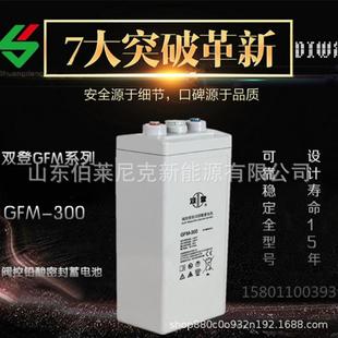 双登GFM 1000双登免维护蓄电池2V1000AH电力基站太阳能2V500AH
