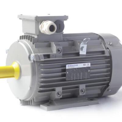 德国AC-MOTOREN感应循环电机