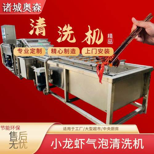 全自动水果蔬菜气泡清洗机生姜清洗机竹笋香椿漂烫机龙虾清洗机