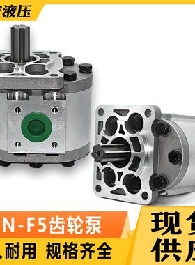 高压齿轮泵CBN-F532563F525F580550铝合金油压齿轮泵