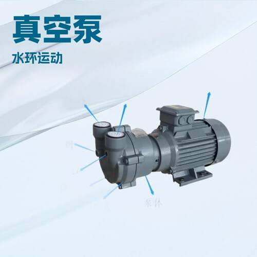 2BV2061水环式真空泵坦安供应2BV不锈钢真空泵送料引水蒸过滤