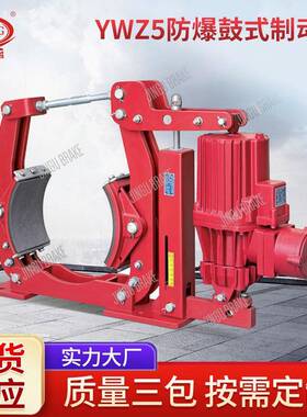 DYW-300/E50带式输送机专用隔爆型电力液压制动器