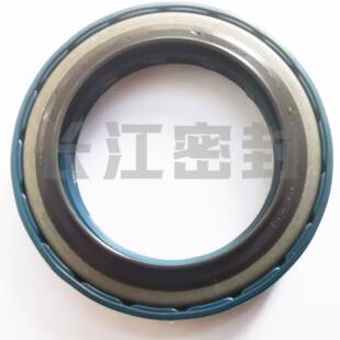 CFW进口BAU1SLX250-80-10/7A1B1FOFDRSSF50-74-8/11.5骨架油封