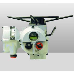 400NM电动执行器 罗托克电动执行器IQC25 F14