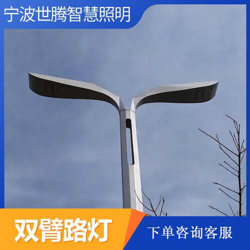 双臂市电太阳能路灯户外高低直杆LED路灯市政防水A字臂海螺臂路灯