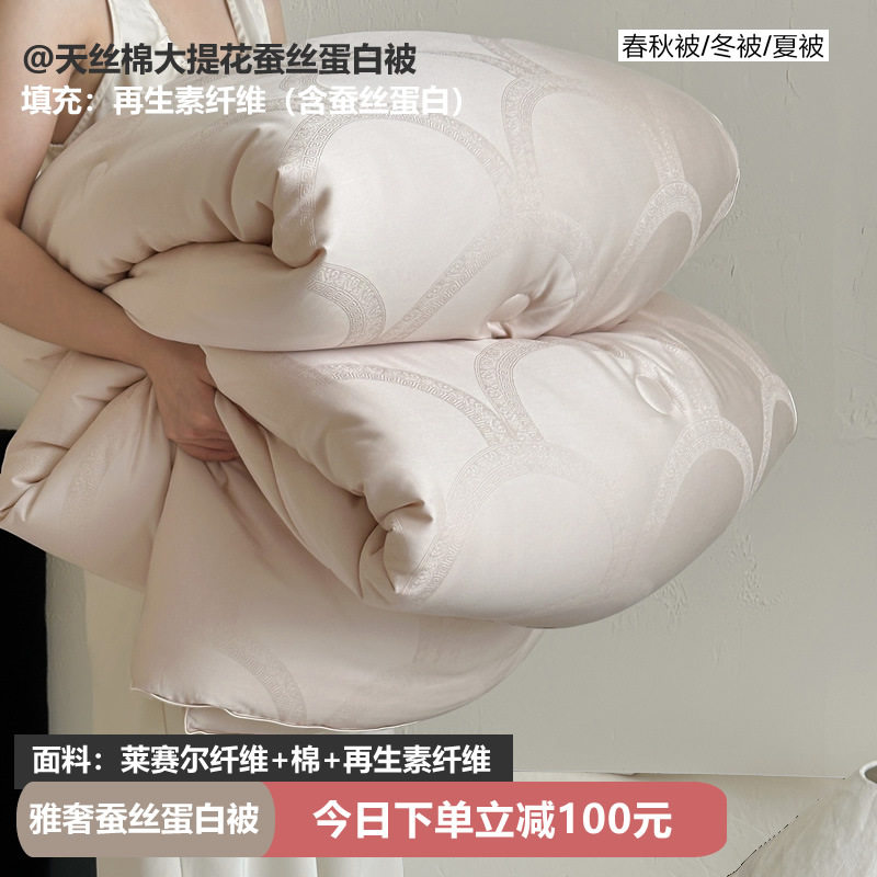 高端蚕丝大豆双蛋白天丝棉提花冬被芯莱赛尔大豆被春秋被蚕丝冬被