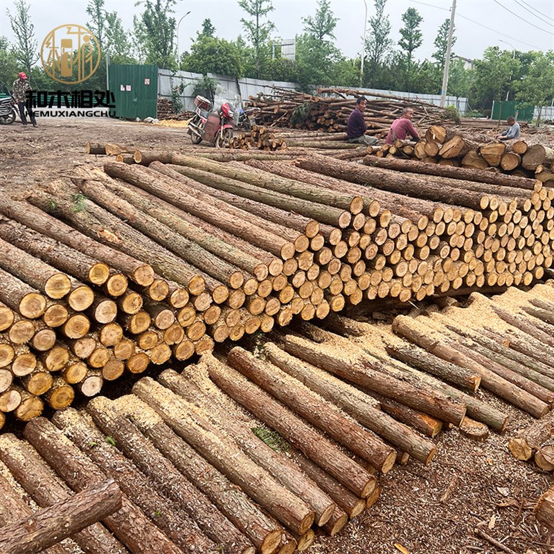 木桩打桩立柱户外价格工程围栏园林绿化树木支撑杆杉木桩