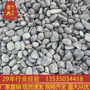 吨位价黑色鹅卵石深灰色雨花石水池低鹅卵石庭院铺面石沟盖板卵石