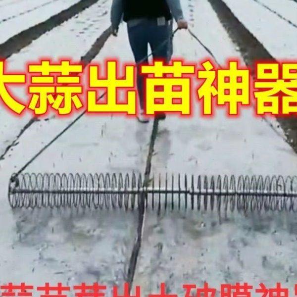 大蒜出苗器大蒜苗芽破膜助力工具铁环圆环种大蒜工具出苗神器