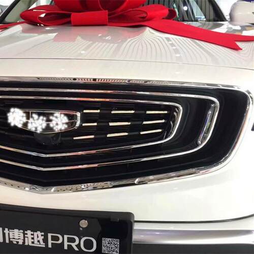用于博越PRO中网装饰上中网贴片下中网亮条博越PRO改装件
