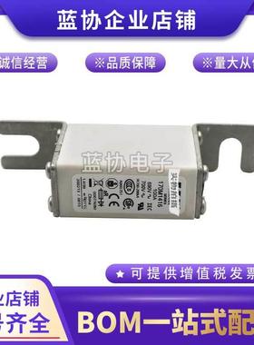 170M1416170M1417170M1418170M1419巴斯曼快速熔断器保险丝