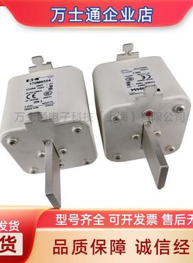 170M8600/8601/8602/8603/8604/8605/860686078608170M8613熔断器