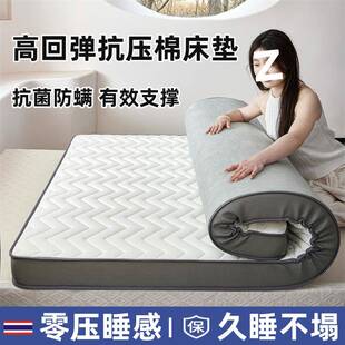 加厚床垫家用双人铺底夏季单人可折叠学生宿舍褥子榻榻米软垫子
