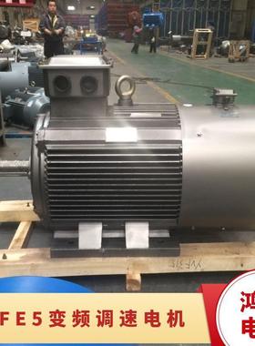 鸿泰低压三相异步电机tYVFE5-355M1-6t160KWt380Vt提高启动力矩