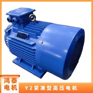 鸿泰高压三相异步电机tY2 6t400KWt6KVt可承受较大负载变化 4502