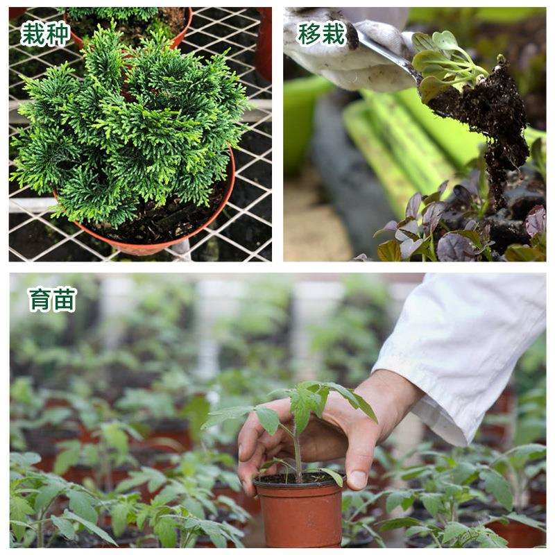 塑料花盆直边网底园艺花盆硬质塑料苗圃育苗盆圆形多肉绿植小圆盆