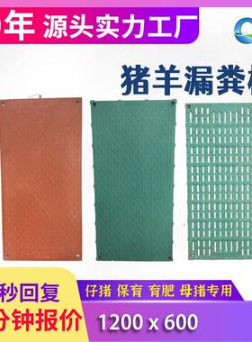保育床漏粪板1200x600配电热地板实心全漏养殖猪床猪圈复合漏粪板