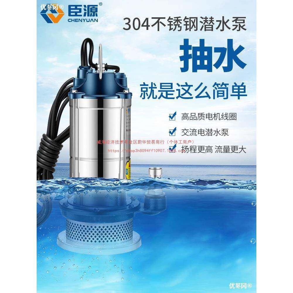 臣源潜水泵220V家用小型不锈钢井水高扬程抽水机农用灌溉排污直销