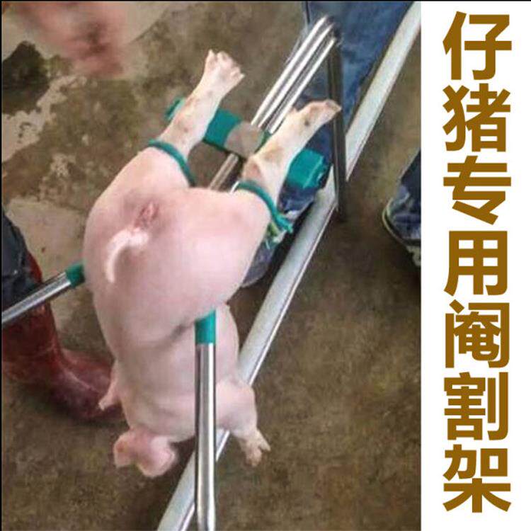 阉割架猪用阉割器不锈钢阉猪器阉割刀工具养猪设备阉猪架