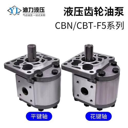 液压齿轮泵CBW/CBT/CBN-E/F304液压系统电机油泵