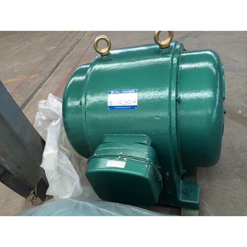 供应js系列高压电机JS148-6 310KW 6kv电动机