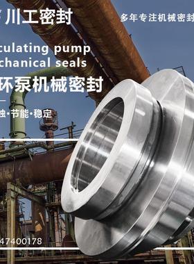 碳化硅密封件 700DT-A83800DT-A904/2VSF-30DN 水冷式机械密封