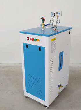 冬季桥梁蒸汽养护设备 48kwx消毒熨烫蒸煮洗车电热蒸汽锅炉 现货