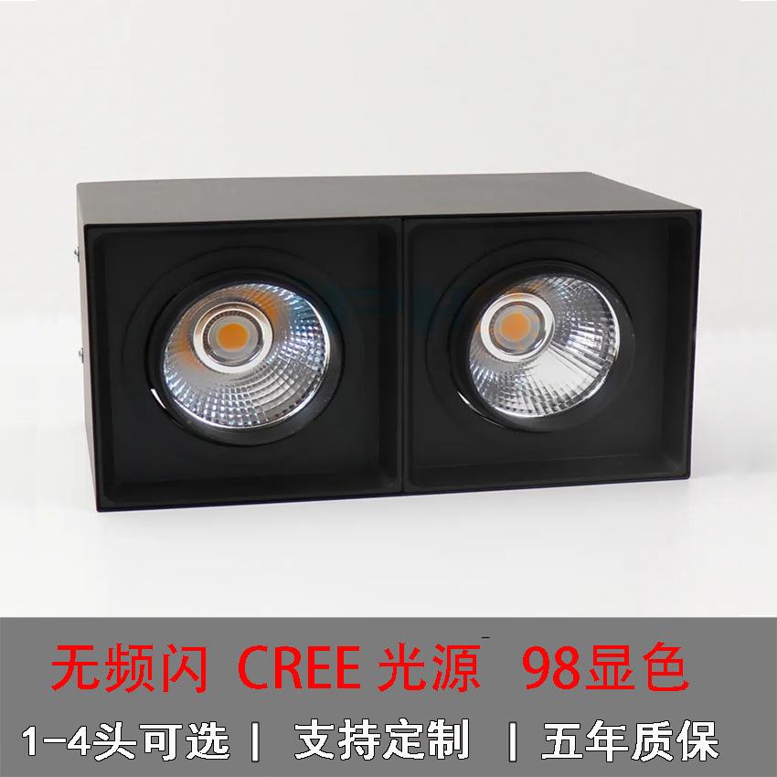 供应单头双头COB斗胆灯格栅灯店铺家居用方形10W斗胆节能省电