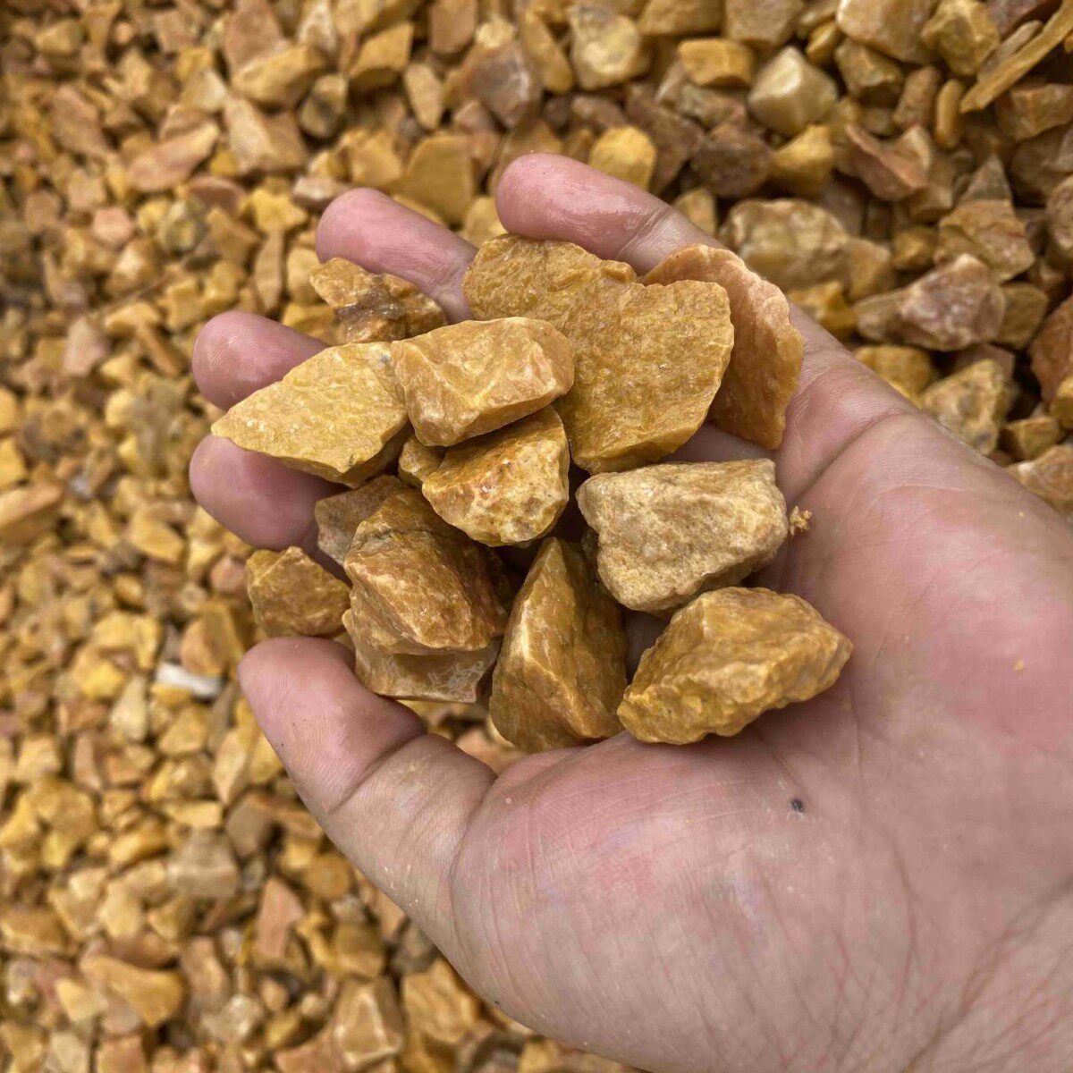 深圳厂家直销园铺路黄砾石碎石庭院景观造景黄色砾石水磨石黄石子