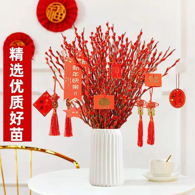 招才银柳真花鲜枝春节年宵花卉水培植物干花红色银柳客厅室内装饰