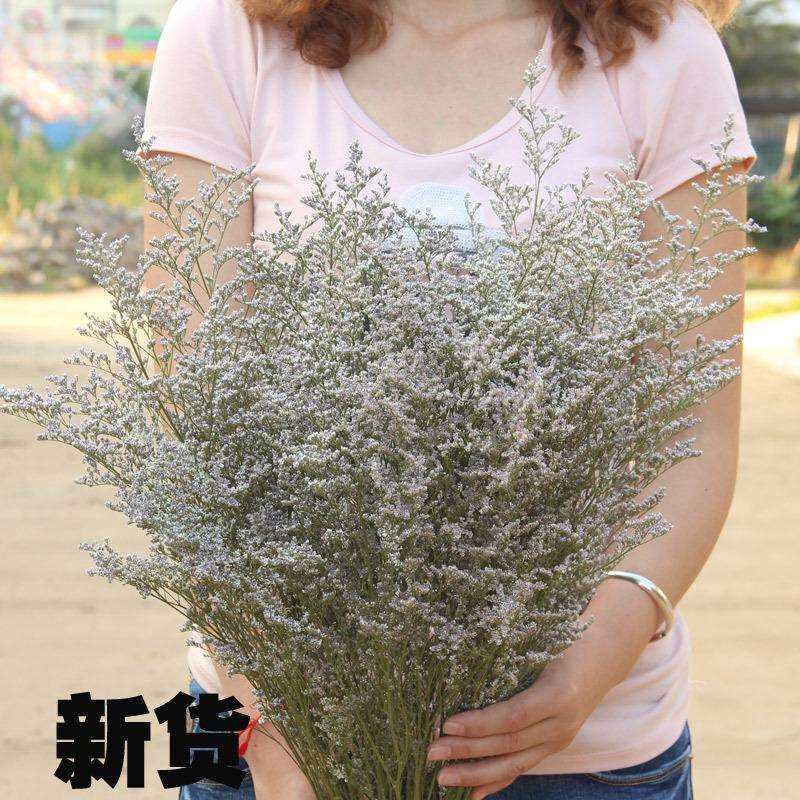云南情人草基地称斤30kg整箱家居装饰插花自然干花束鲜花