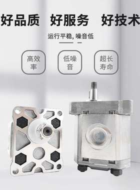 意大利马祖奇双联齿轮泵ALP2BK7-D-40-FG-V高压马祖奇齿轮泵