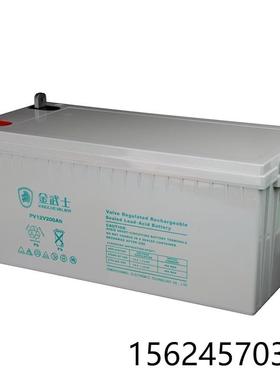 金武士蓄电池PV12V200AHPL200-12PW200-1212V200AH(10HR)铅酸