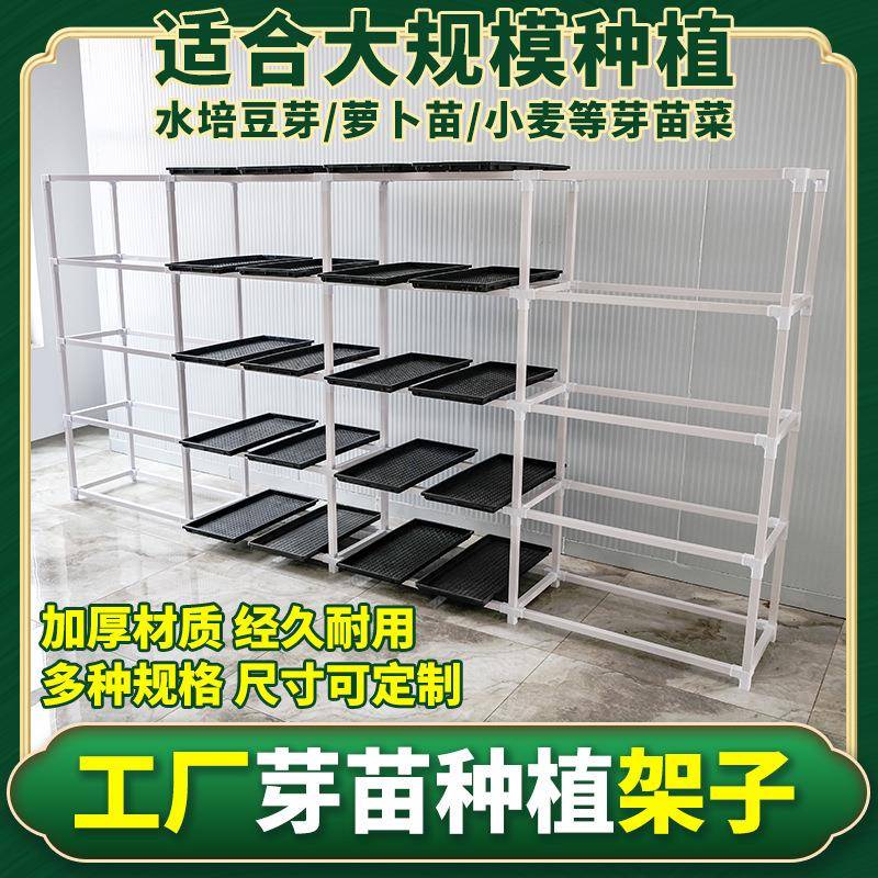 工厂豆芽发芽盆水培设备豌豆苗种植架无土栽培托芽苗菜育苗盘架子