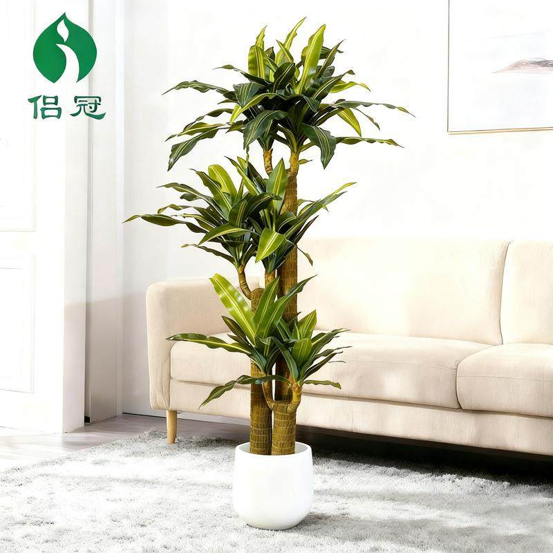 新仿真巴西木家居客厅装饰绿植物盆栽仿真植物巴西铁盆景,工业油品/胶粘/化学/实验室用品,其他实验室设备,淘宝优惠券,粉丝福利购,淘宝优惠卷