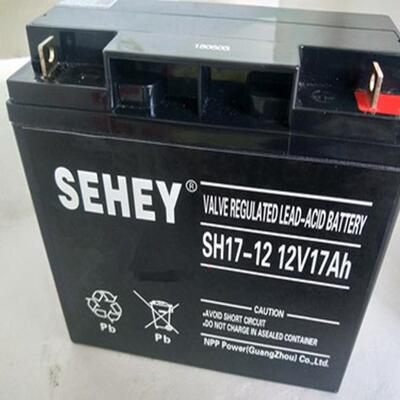 SEHEY西力蓄电池SH17-12储能蓄电池12V17AH免维护铅酸电池