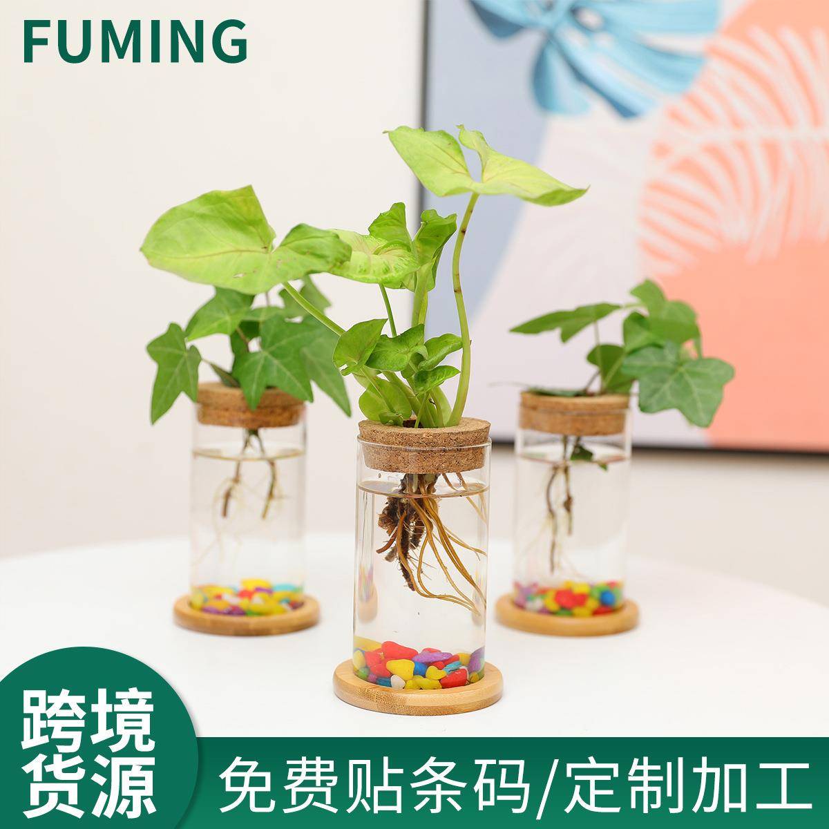 桌面植物玻璃花盆水培植物鲜花插花瓶软木塞台面家庭办公室装饰品