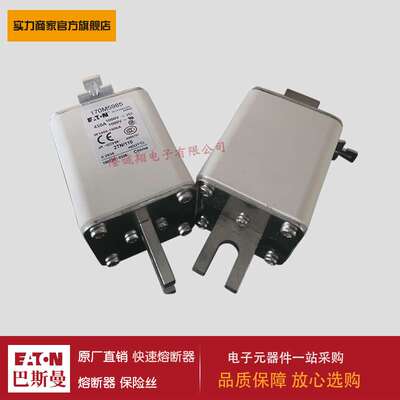 熔断器170M5985 170M5986 170M5987 170M5988 170M5989 170M5990