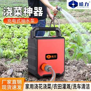 锂电抽水泵电动浇菜机浇菜神器菜地浇灌机充电式浇花机浇菜园花园