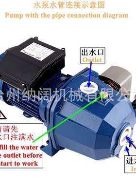 跨境DP全自动浅井泵高吸程双管吸程家农用花园灌溉自吸喷射泵110V