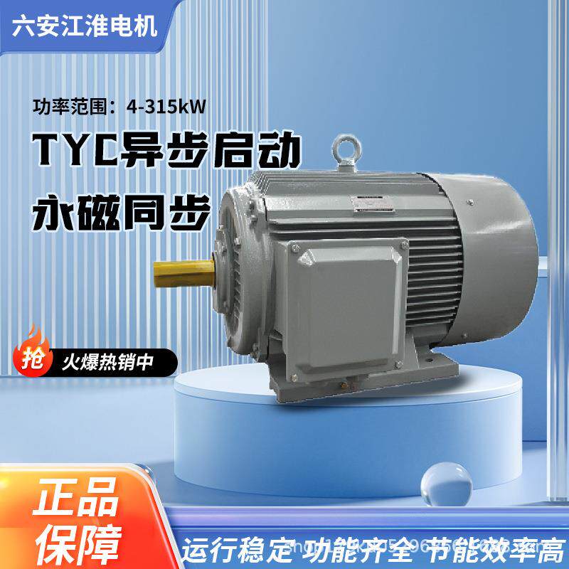 六安江淮电机TYC异步启动永磁同步电动机4-315kw全铜线圈厂家直供