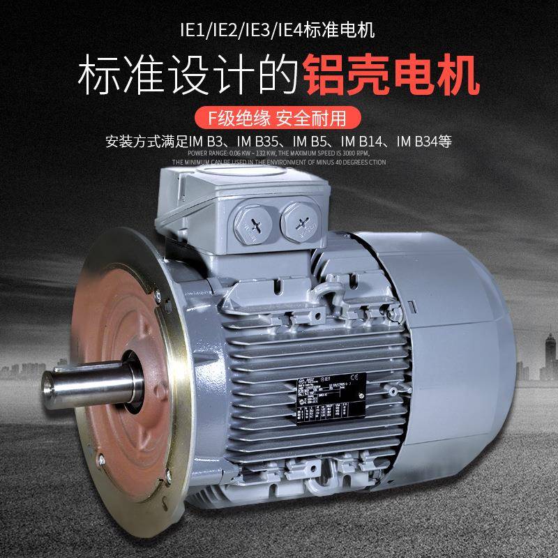 供应MEZ刹车1TZ90031AD52 100L 1.1KW 220/380V